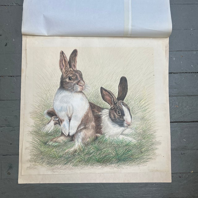 1970’s colored pencil drawing of rabbits in a field. Measures 18.5x17.5. Check out my shop Robins Egg Gallery for more.
