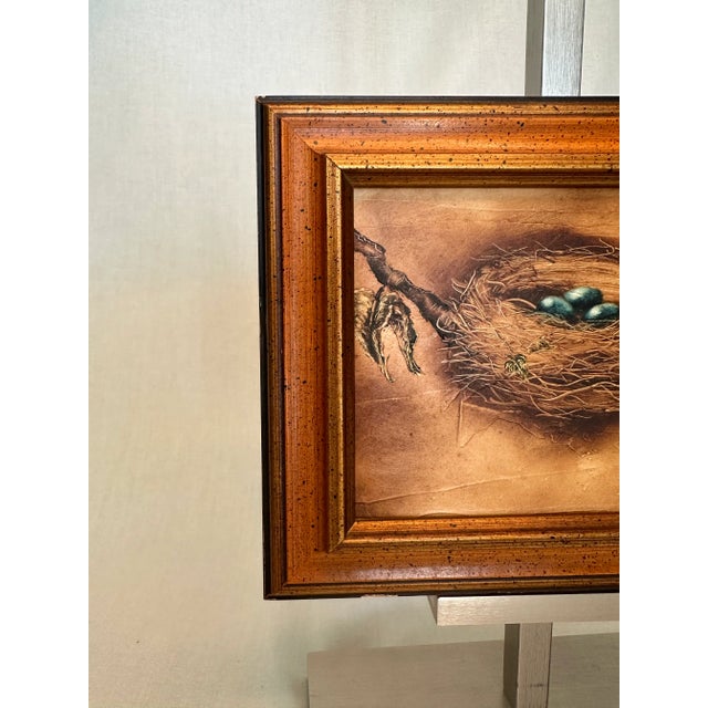 Impressionist Birds Nest Still Life Framed Original Oil Painting For Sale In Houston - Image 6 of 11