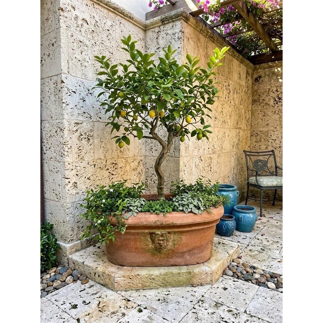 Ceramic Vintage Italian Tuscan Style Terracotta Oval Planter Trough With Mascaron Relief For Sale - Image 7 of 12