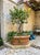Ceramic Vintage Italian Tuscan Style Terracotta Oval Planter Trough With Mascaron Relief For Sale - Image 7 of 12