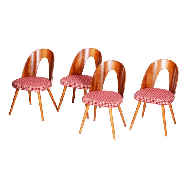 Mid-Century Dining Chairs attributed to Antonín Šuman in Beech & Walnut, Czech, 1950s, Set of 4 For Sale