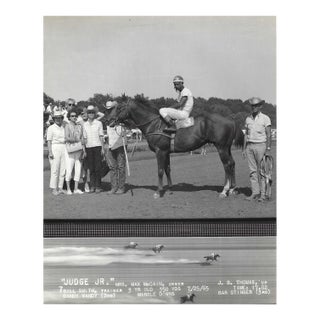 1965 Judge Junior at Marble Downs Equestrian Photograph For Sale