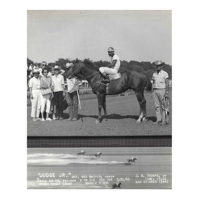 1965 Judge Junior at Marble Downs Equestrian Photograph For Sale