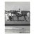 1965 Judge Junior at Marble Downs Equestrian Photograph For Sale