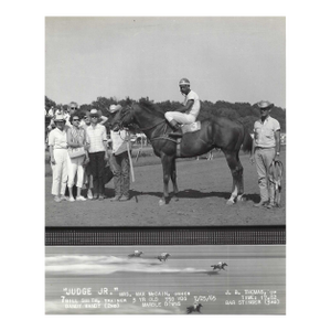 1965 Judge Junior at Marble Downs Equestrian Photograph