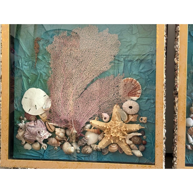 Vintage Seashell Collage Shadow Boxes -a Pair For Sale - Image 4 of 12