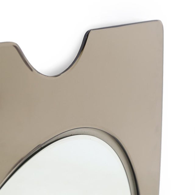 Gray Mirror with Bronzed Mirror Frame, 1970s For Sale - Image 8 of 11