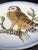 Late 20th Century Owl Plate by Goebel For Sale - Image 11 of 18
