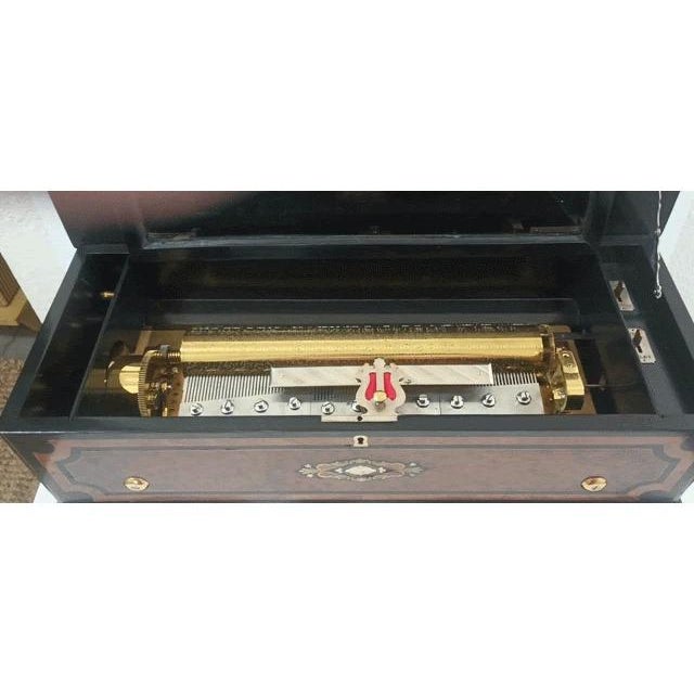 Swiss Ebonized Wood Trim Burl Walnut and Maple Inlaid Music Cylinder Box 1890s For Sale - Image 17 of 17