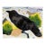 “Companero De Caballos” a Raven and Horse Painting by LWren Walraven For Sale