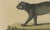 Early 19th Century Bertuch, Jaguar & Jaguarundi, 1813, Engraving For Sale - Image 5 of 9