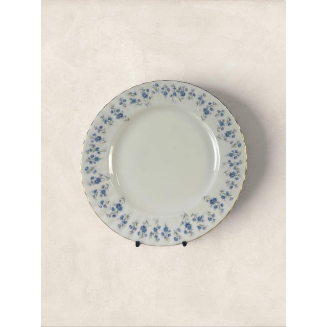 Vintage English Royal Albert 'Memory Lane' 8 inch Plates, Set of Two Forget-me-not florals in soft blue drift across a...