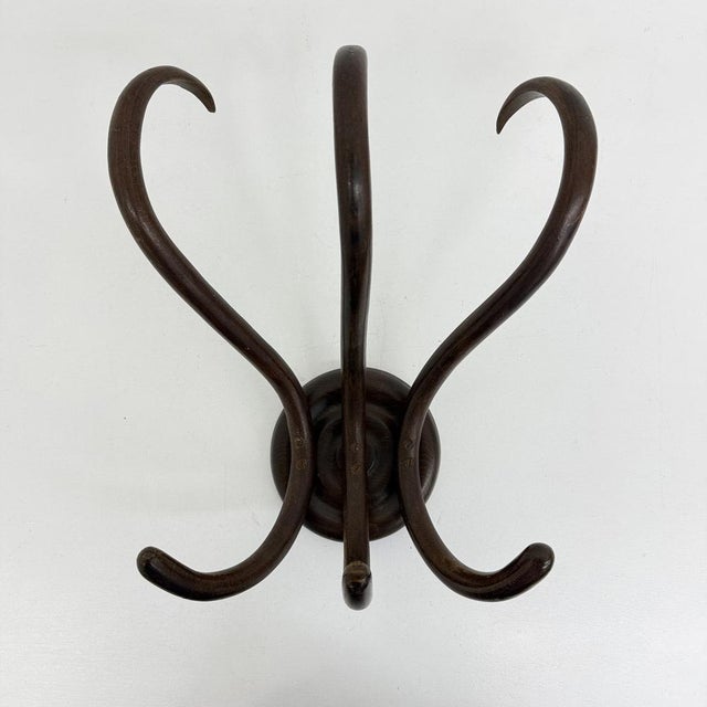 Mid-Century Modern Antique Bentwood Wall Mounted Coat Rack, 1930s For Sale - Image 3 of 18