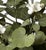 Hand Painted Tole Geranium in Pot For Sale - Image 10 of 10