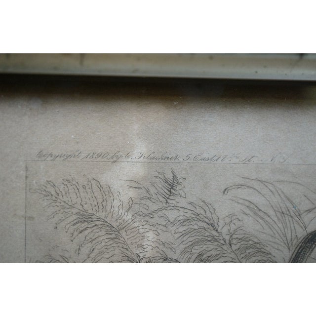 Antique William De Montagne Cary Grouse Trout Fly Fishing Triptych Etching 25" For Sale - Image 6 of 12