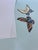 Not Yet Made - Made To Order 36" * H96"/Panel * 5ps, Butterfly Wallpaper in Light Blue Ground Color For Sale - Image 5 of 8