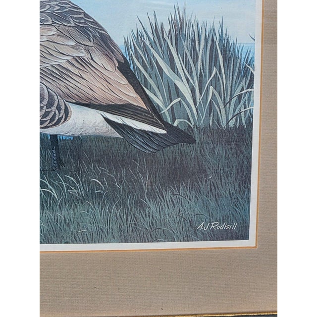 19th Century Beautiful Decorative Painting of Goose Family/ Wood Frame and Glass Cover. For Sale - Image 10 of 14