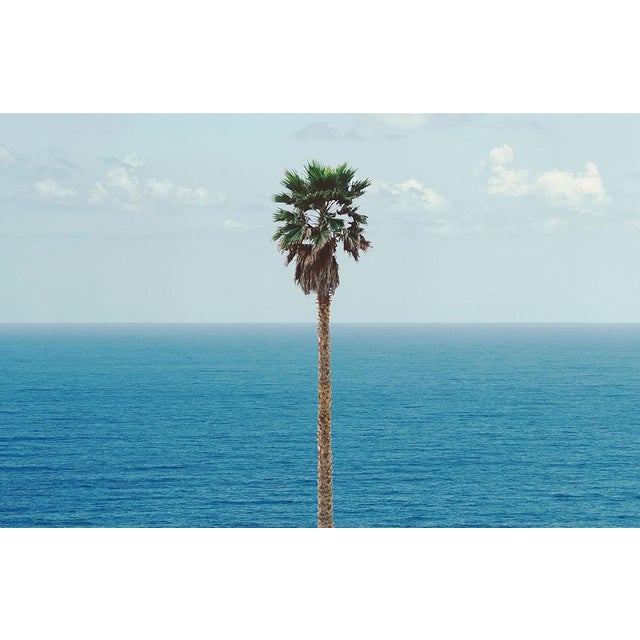 Contemporary John Baldessari Palm Tree/Seascape Poster For Sale - Image 3 of 3
