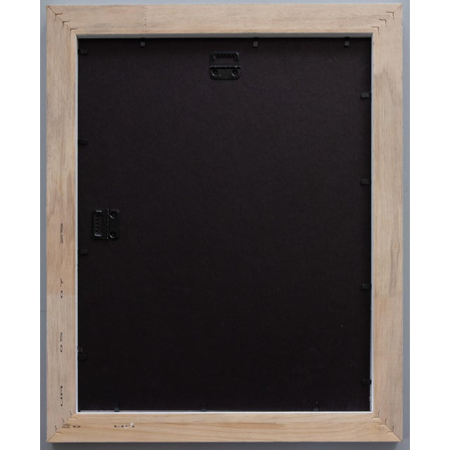 Custom Framed Antique Swedish Botanical Herbariums, 1912 - Set of 4 For Sale - Image 13 of 13