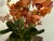 Abigail Luxury Botanicals Faux Orchid Arrangement in Vase For Sale - Image 10 of 12
