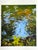 Acrylic on heavy archival watercolor paper. Paper measure 12x14 inches. An inch is allowed for framing. Piece ships unframed.