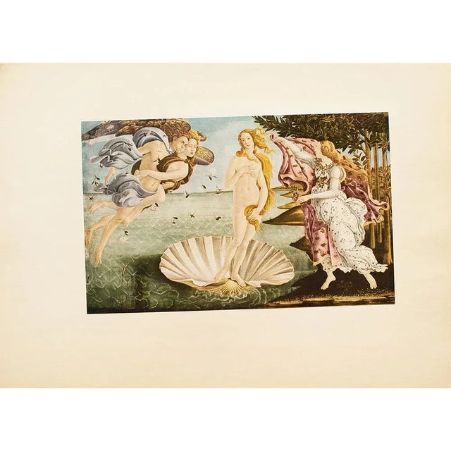 1953 After Botticelli "The Birth of Venus", First Edition Vintage Full-Color Print For Sale In Dallas - Image 6 of 8