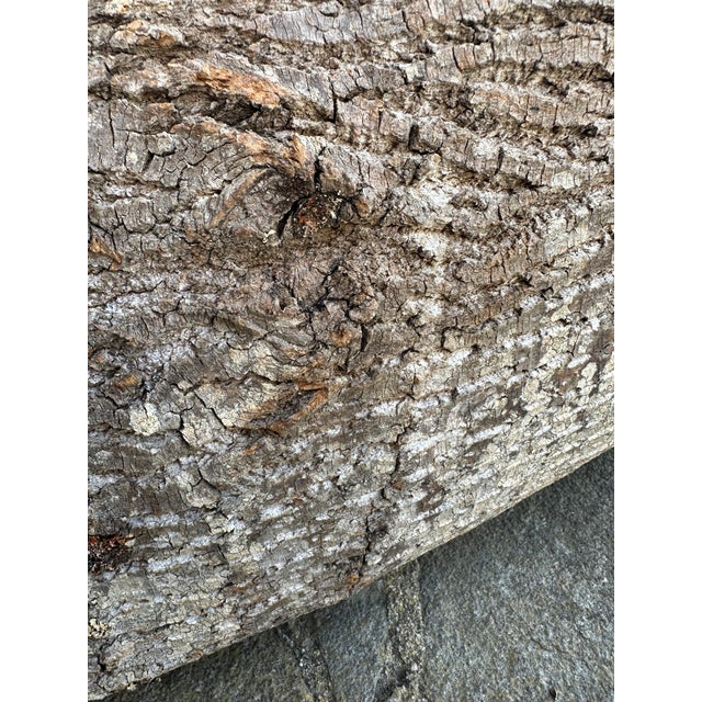 Vintage 45” Textured Bark & Wood Canoe With Leather Rawhide For Sale - Image 10 of 16