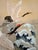 Pair of Vintage Japanese Hand-Painted Silk Crane Paintings, Signed, 45" For Sale - Image 10 of 16