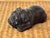 Charming carved ebony pug! This sweet little dog is small yet heavy because of ebony's density and would be a perfect desk...