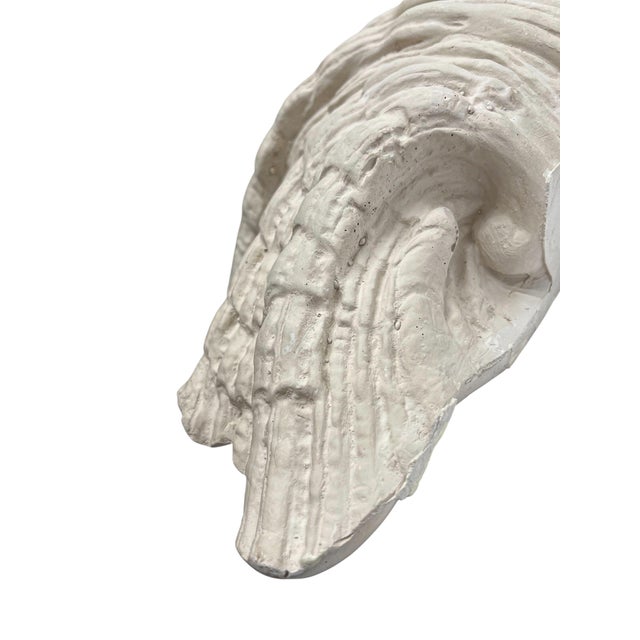 Sculpture Materials Large Vintage Plaster Organic Sea Shell Wall Light, 1970s For Sale - Image 7 of 10