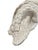 Sculpture Materials Large Vintage Plaster Organic Sea Shell Wall Light, 1970s For Sale - Image 7 of 10