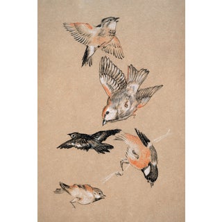 Study of Birds: Finches by Sir Edward Burne-Jones, Vintage Art Print Reproduction, 16" X 24" For Sale