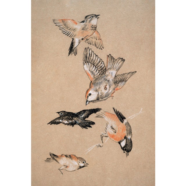 Study of Birds: Finches by Sir Edward Burne-Jones, Vintage Art Print Reproduction, 16" X 24" For Sale