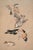 Study of Birds: Finches by Sir Edward Burne-Jones, Vintage Art Print Reproduction, 16" X 24" For Sale