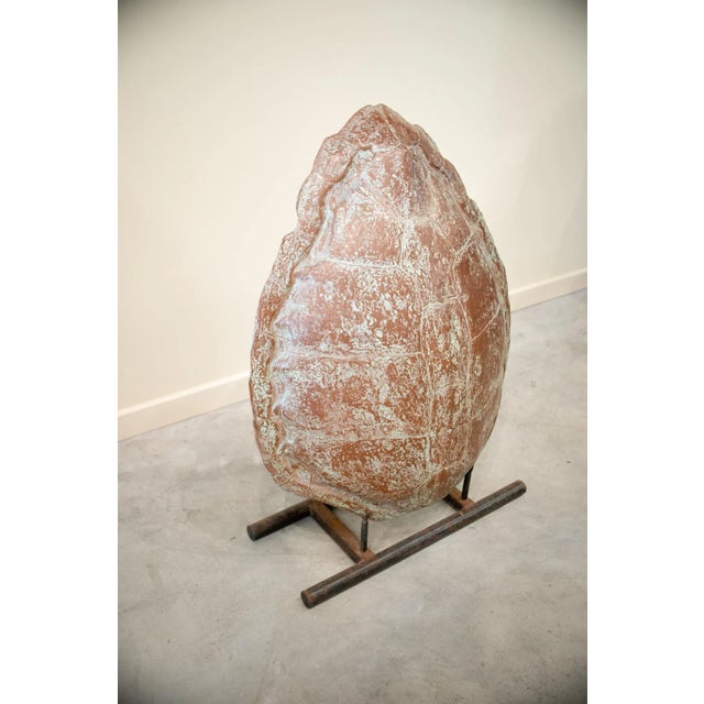 20th Century Fiber Turtle Shell Mold with Iron Support For Sale - Image 4 of 9