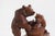 Antique Black Forest Swiss Bear Adjustable Bookshelf, 1880 For Sale - Image 11 of 12