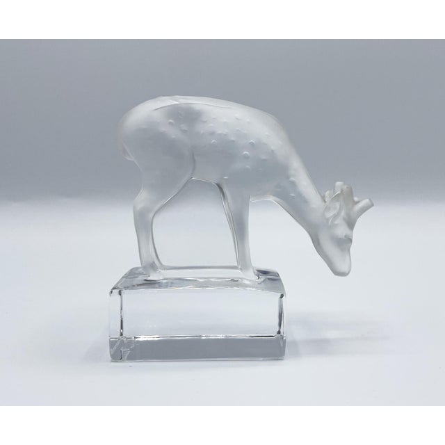 René Lalique Daim Sculpture in Frosted Glass by René Lalique for Lalique, 1970s For Sale - Image 4 of 13