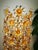 Vintage Gilt Brass and Crystal Floor Lamps from Palwa, 1960, Set of 2 For Sale - Image 9 of 18