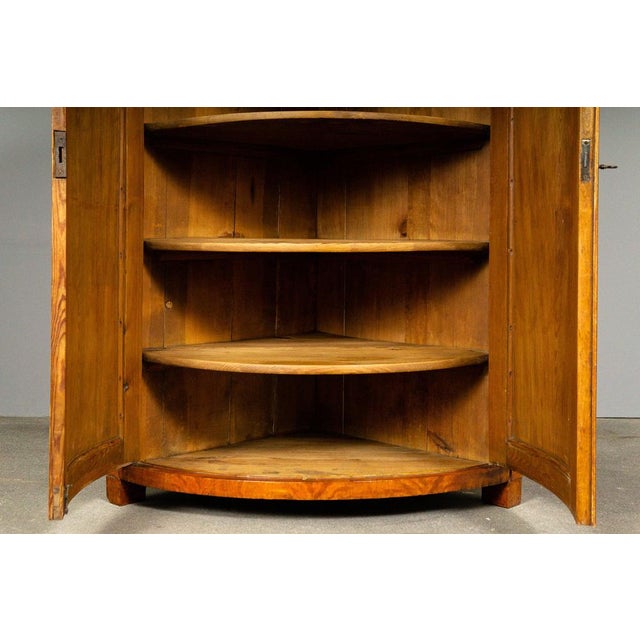 19th Century Biedermeier Corner Cabinet in Birch For Sale - Image 12 of 18