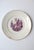 Gothic Early 20th Century Plates Neoclassical Design - Set of 4 For Sale - Image 3 of 13
