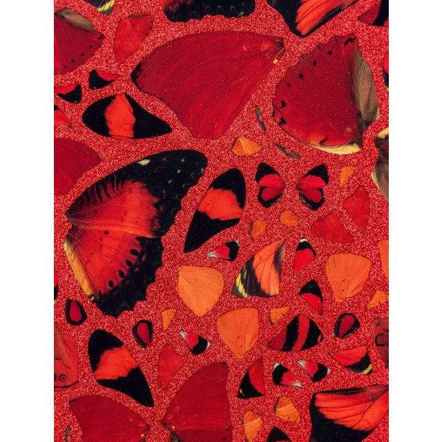 2020s Damien Hirst "Theodora" Giclee Print, 2022 For Sale - Image 5 of 9