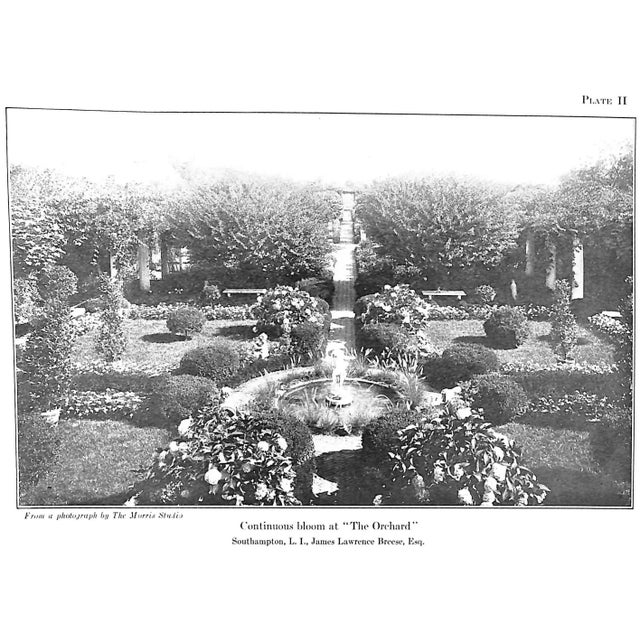 Paper "Continuous Bloom in America" 1926 Shelton, Louise For Sale - Image 7 of 8