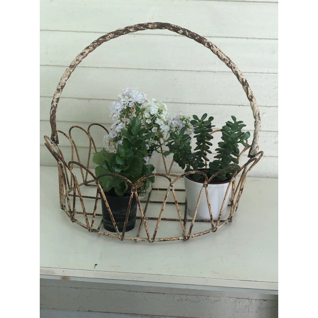 Antique French Wrought Iron Garden Basket or Jardiniere For Sale In New York - Image 6 of 7