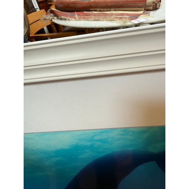 Early 21st Century Brian Skerry North Atlantic Whale Photography For Sale - Image 5 of 12