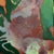 Textile “Prawn” 16x20. Original Abstract Painting on Canvas. This Piece Will Be in My Solo Show in the Libra Gallery Space at Crooked Tree Arts Center. For Sale - Image 7 of 8