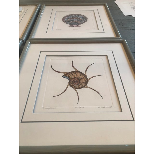 1980s Gallery Wall Collection-6 Original Lithograph Nautical Shell Prints by Listed Artist Dan Mitra- Set of 6 For Sale - Image 5 of 12