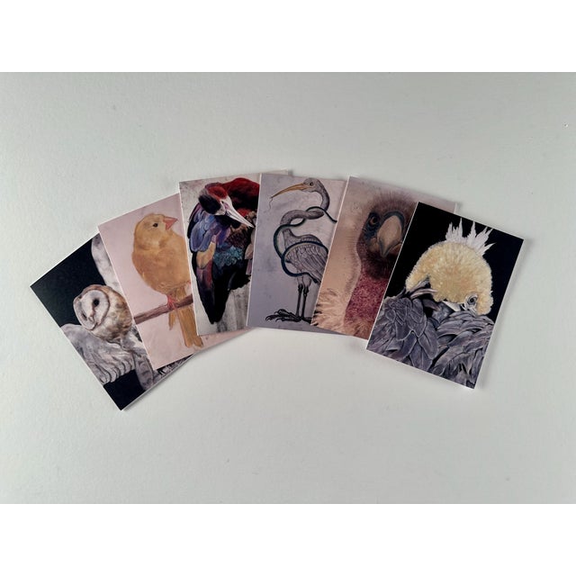 Realism Set of Six Note Cards Printed From My Drawings of Birds For Sale - Image 3 of 10