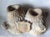 Stone Antique 1800s Primitive, Folk Art Carved Marble Match Safe, Americana Patriotic Shield For Sale - Image 7 of 8