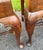 Set of 6 Solid Mahogany Queen Anne Style Dining Chairs Early 20th Century For Sale In Boston - Image 6 of 17