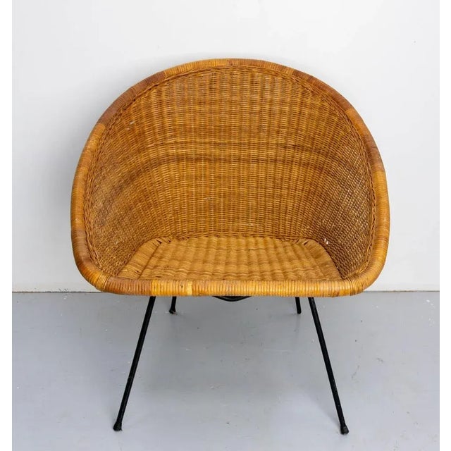 French chair made in wicker in the 20th mid-century on a black painted base. Good condition with few gaps.